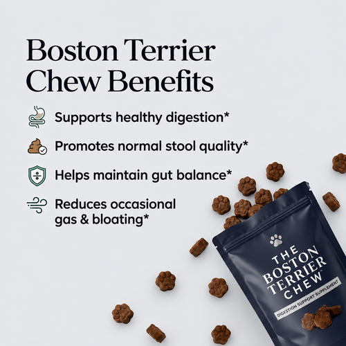 Boston Gut Support Chews