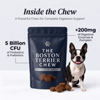 Boston Gut Support Chews