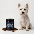 Westie Skin Support Chews