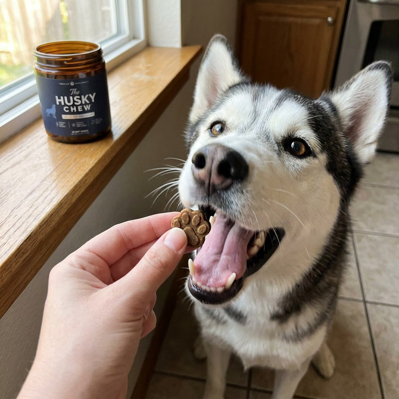 What if your husky is a picky eater and doesn't end up liking them?