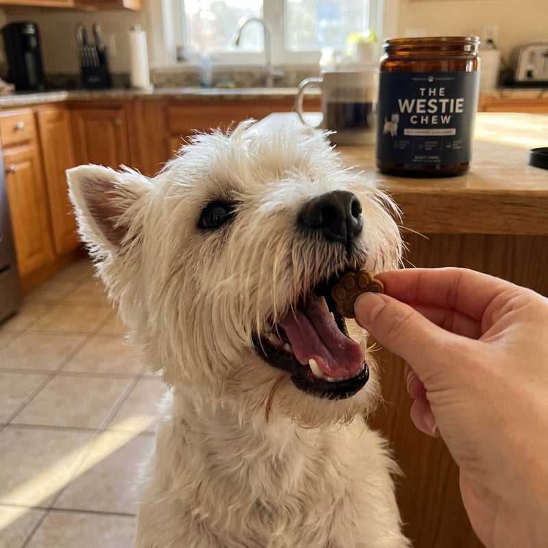 What if your westie is a picky eater and doesn't end up liking them?